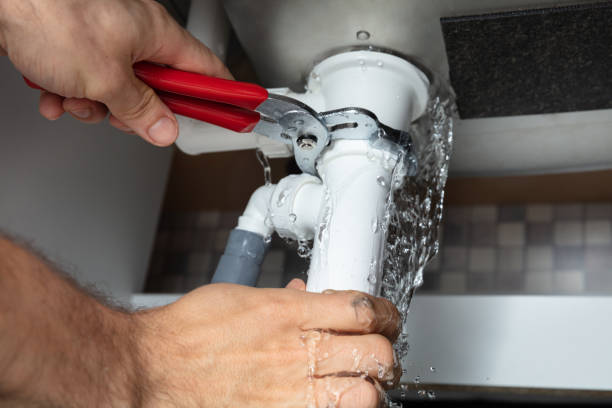 Best Carpet water damage restoration  in Peculiar, MO