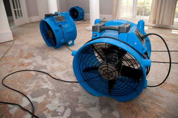 Best Fire Damage Restoration  in Peculiar, MO