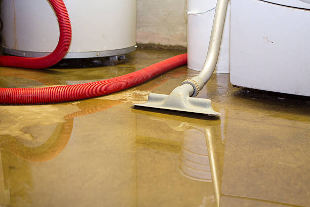 Best Water damage cleanup near me  in Peculiar, MO