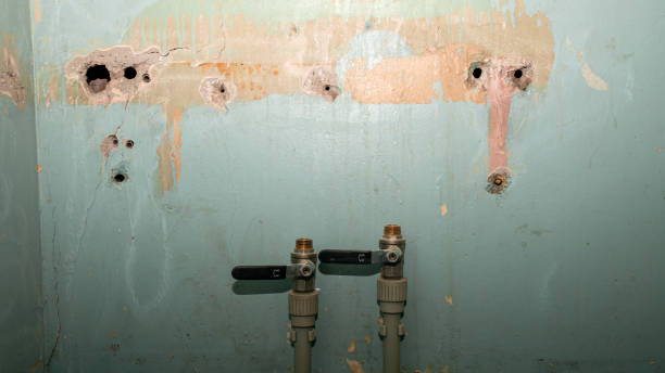 Best Water damage cleanup near me  in Peculiar, MO