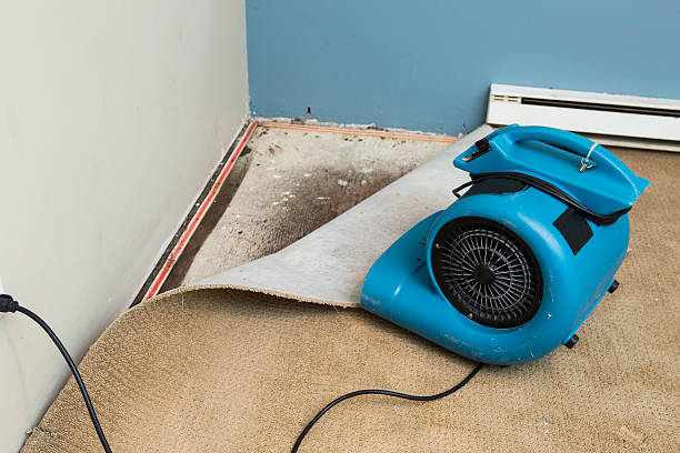 Best Water damage restoration near me  in Peculiar, MO